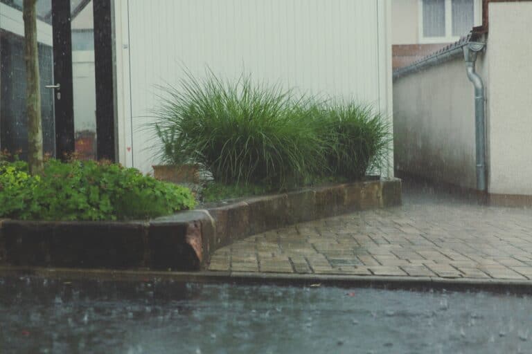 sidewalk in the rain